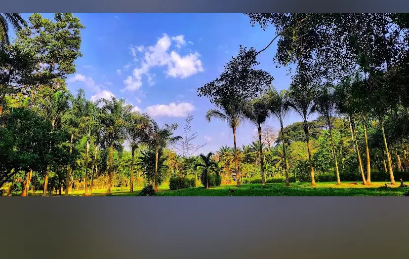 Belle photo jardin botanique bingerville