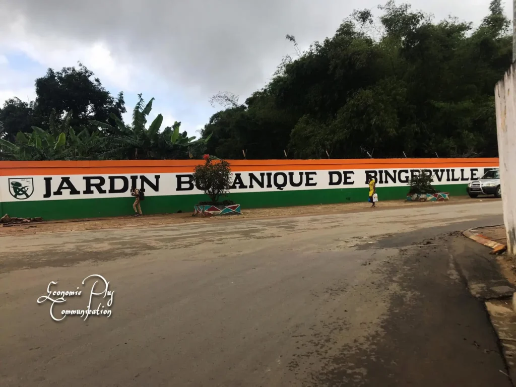 Immobilier a Bingerville