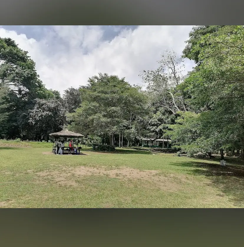 endroit du jardin botanique bingerville